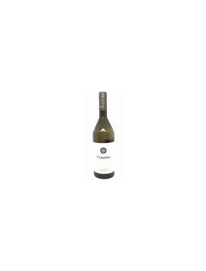 CORMONS - COLLIO - PINOT GRIGIO