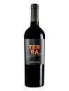 CONTI ZECCA-TERRA AGLIANICO