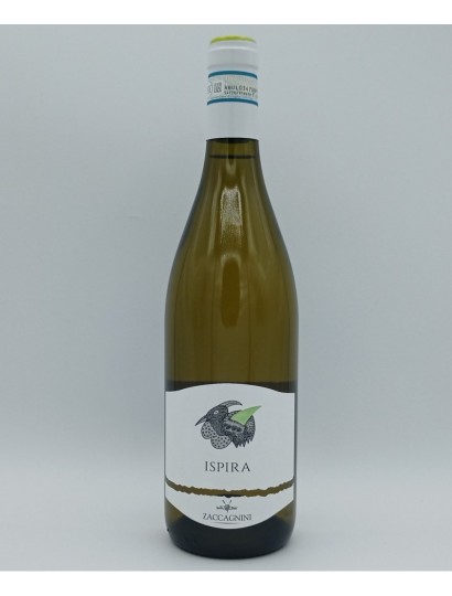 ZACCAGNINI - ISPIRA - PASSERINA ABRUZZO