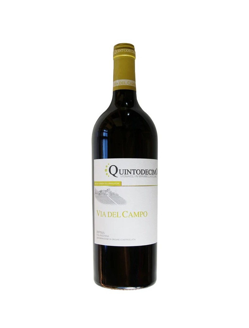 QUINTODECIMO-VIA DEL CAMPO-FALANGHINA IRPINIA