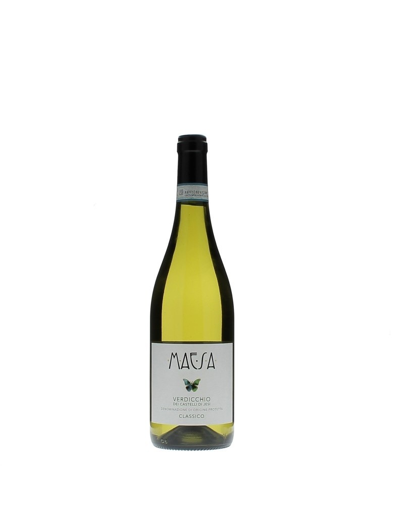 MAESA-VERDICCHIO CASTELLI DI JESI D.O.P.