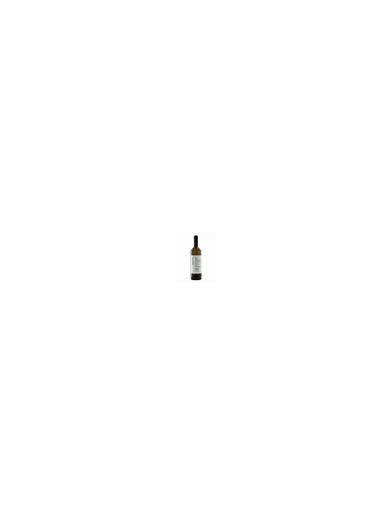 CANTINA MARILINA-SKETTA